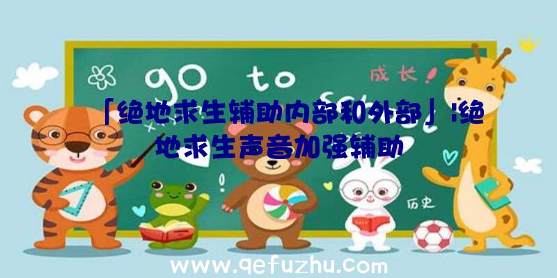 「绝地求生辅助内部和外部」|绝地求生声音加强辅助